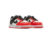 NBA x Dunk Low EMB TD '75th Anniversary - Bulls'