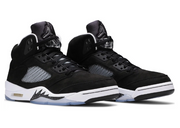 Jordan 5 Retro Moonlight (2021)